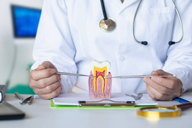 Best Emergency Treatment for Dental Infections or Abscesses in Daleville, IN